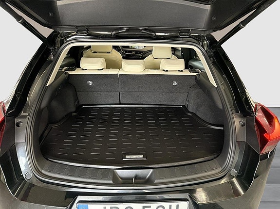 Lexus UX250h 11 of 20