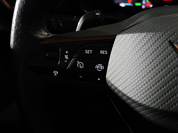 Cupra Formentor e-HYBRID 20 of 30