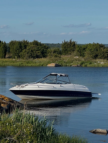 Bayliner 2352 LS Capri 17 of 17