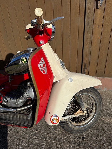 Puch Alabama 12 of 16