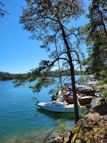 H-båt nr 225 4 of 6