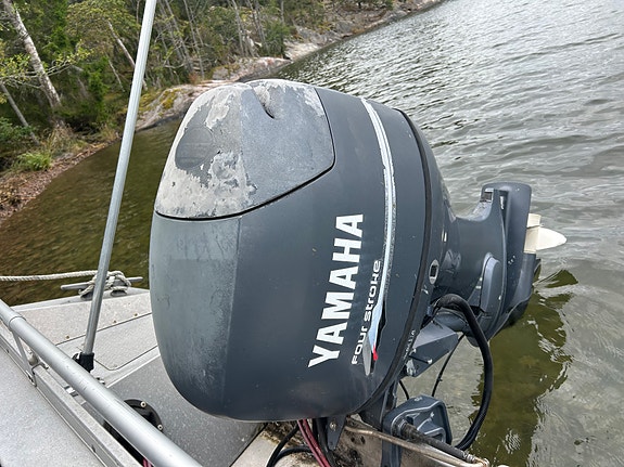 Buster L 50 h 4 takt + GPS - Servad årligen 3 of 5