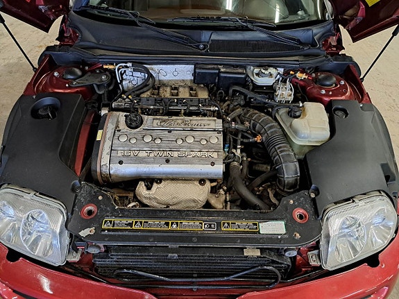 Alfa Romeo Spider 11 of 11