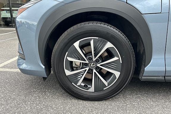 Lexus RZ450e 19 of 20