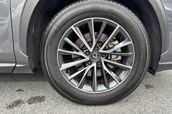 Lexus NX350h 15 of 22