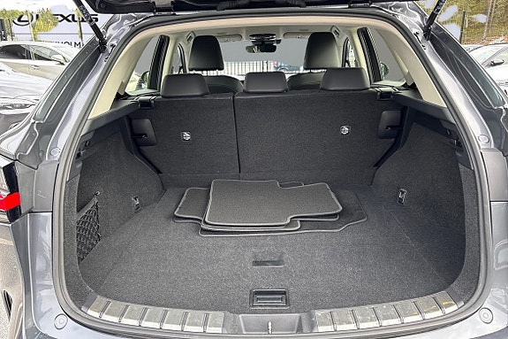 Lexus NX350h 10 of 22