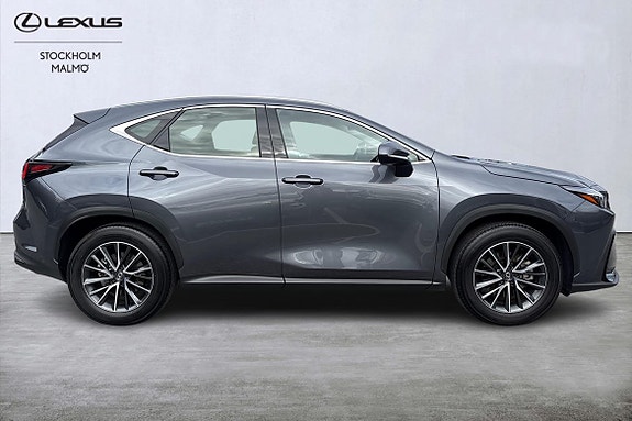 Lexus NX350h 16 of 22