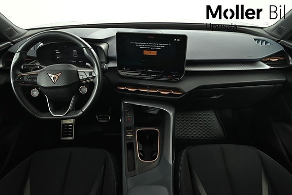 Cupra Terramar 10 of 13