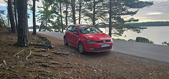 Volkswagen Polo 8 of 12
