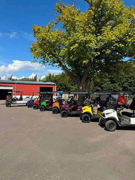 WEV G 2.0 – välutrustad elektrisk golfbil 6 of 10