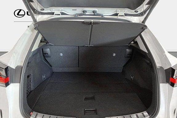 Lexus NX450h+ 10 of 11