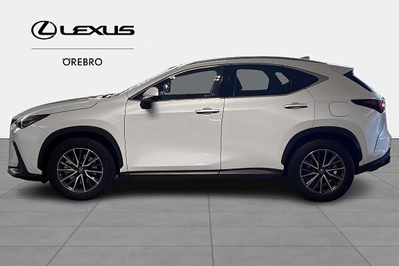 Lexus NX450h+ 3 of 11