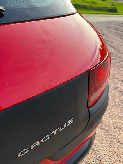 Citroen C4 Cactus 14 of 17