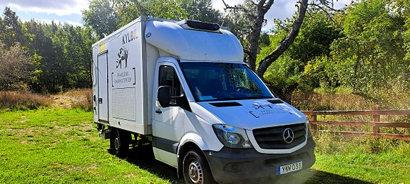 Mercedes-Benz Sprinter 316 4 of 8