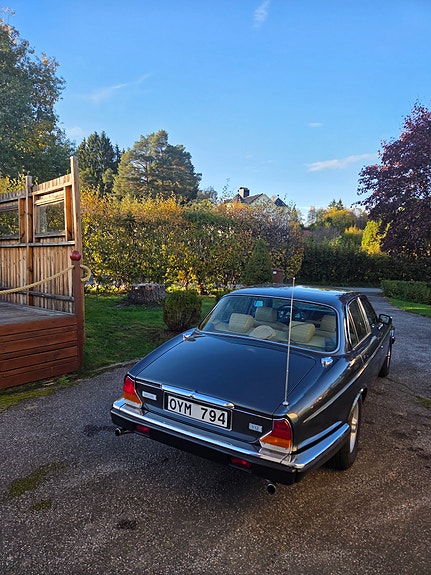 Jaguar XJ12 3 of 4