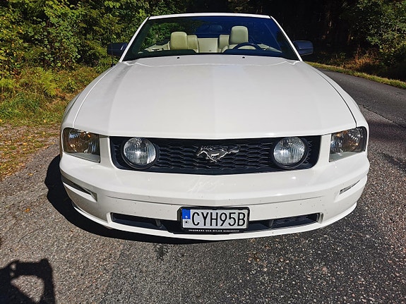 Ford Mustang 4 of 19