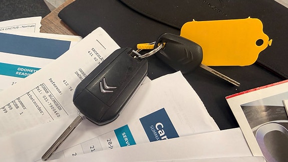 Citroen C4 Cactus 20 of 23