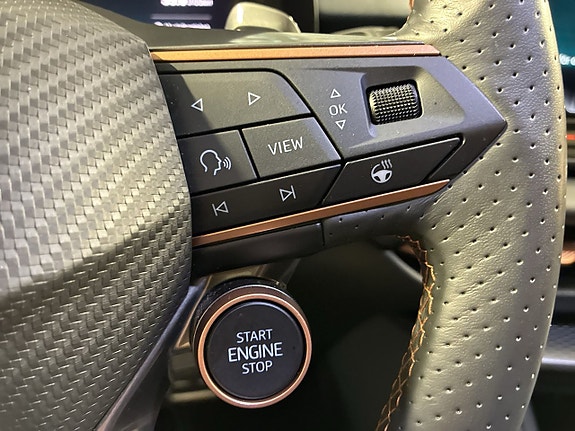 Cupra Terramar 16 of 24