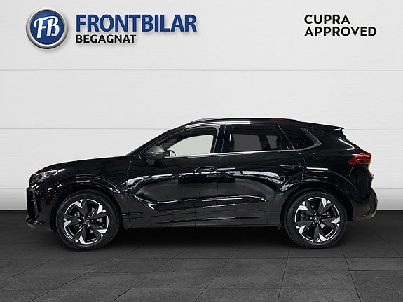 Cupra Terramar 5 of 24