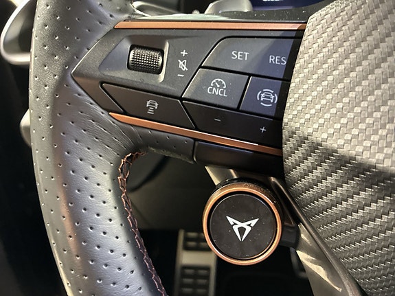 Cupra Terramar 15 of 24
