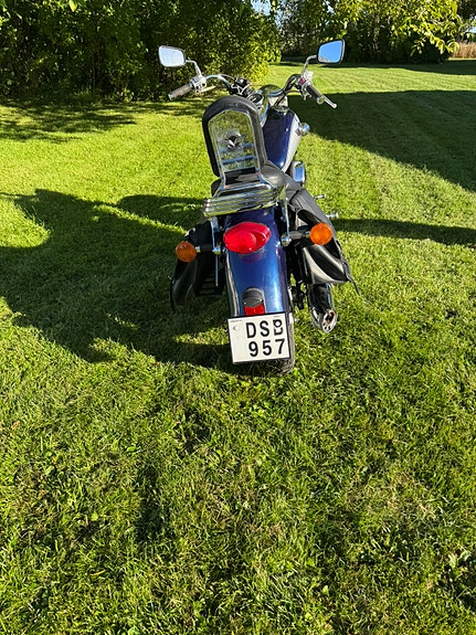 Kawasaki Vulcan 800 4 of 5
