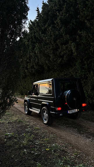 Mercedes-Benz G320 8 of 14