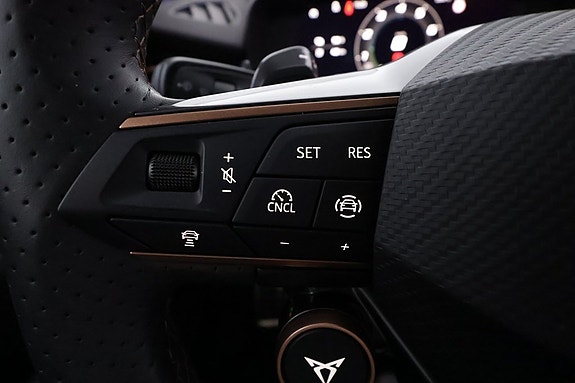 Cupra Terramar 19 of 24