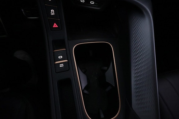 Cupra Terramar 22 of 24
