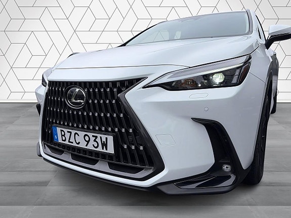 Lexus NX350h 19 of 20