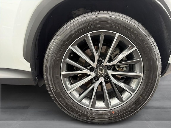 Lexus NX350h 17 of 20