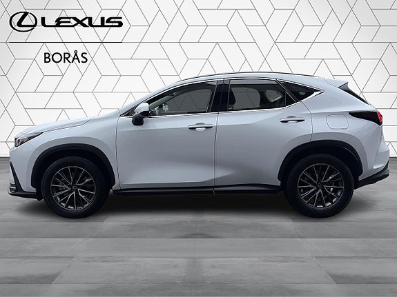 Lexus NX350h 3 of 20
