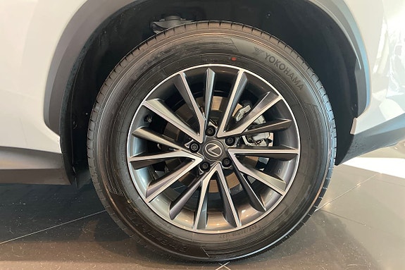 Lexus NX450h+ 15 of 25
