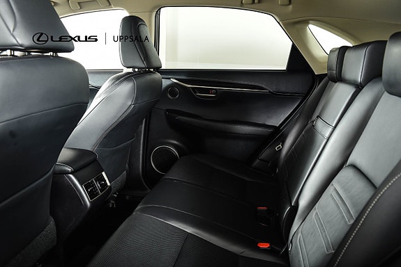 Lexus NX300h 7 of 26