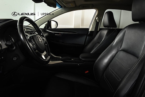 Lexus NX300h 6 of 26