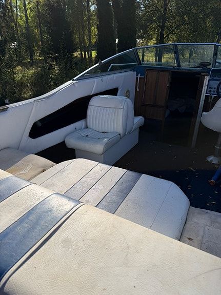 Sea Ray 2 of 10