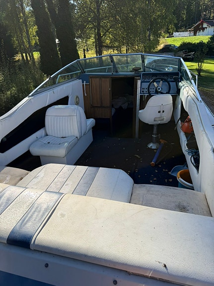 Sea Ray 4 of 10