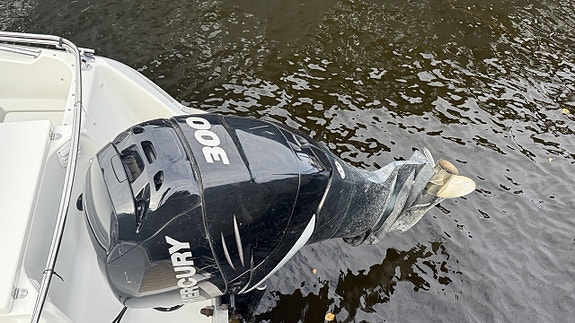 Silver Condor 730 med Mercury Verado 300hk (245tim). 3 of 12