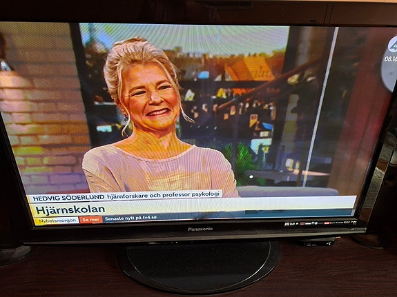 Panasonic, TV 42"