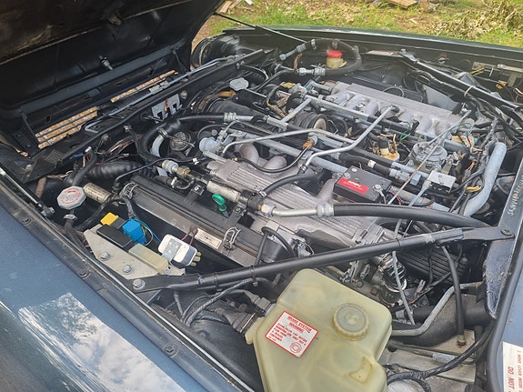 Jaguar XJS 3 of 4