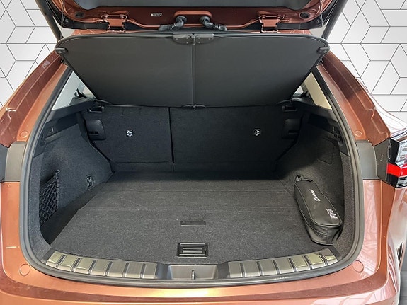 Lexus NX450h+ 6 of 23
