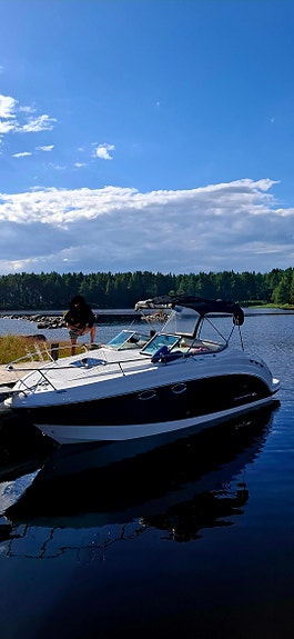 Chaparral 250 Signature 2 of 10