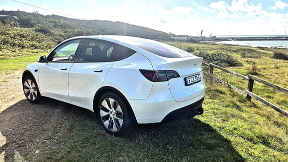 Tesla Model Y 3 of 3