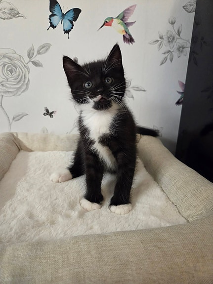 Product image 6 of 8