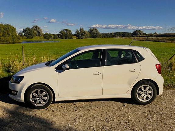 Volkswagen Polo 8 of 8