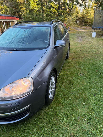 Volkswagen Golf V 7 of 7