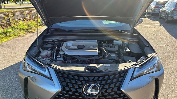Lexus UX250h 5 of 21