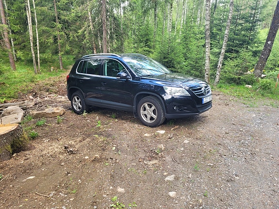 Volkswagen Tiguan 11 of 11