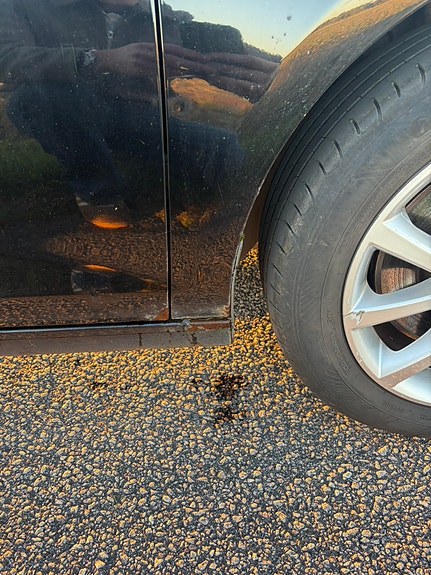 Volkswagen Golf VI 10 of 10