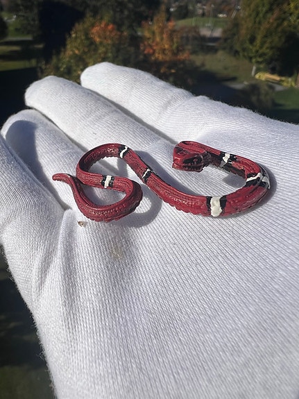 Product image 1 of 7