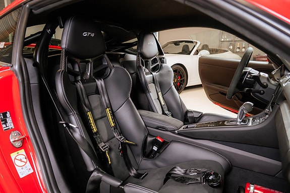 Porsche 718 Cayman GT4 12 of 30